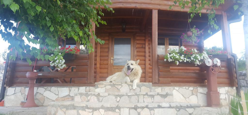 Holiday Home Zoric Niksic Exterior foto